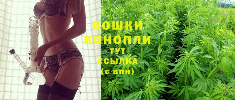 Бошки марихуана OG Kush  Камызяк 